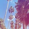 tonixtropical